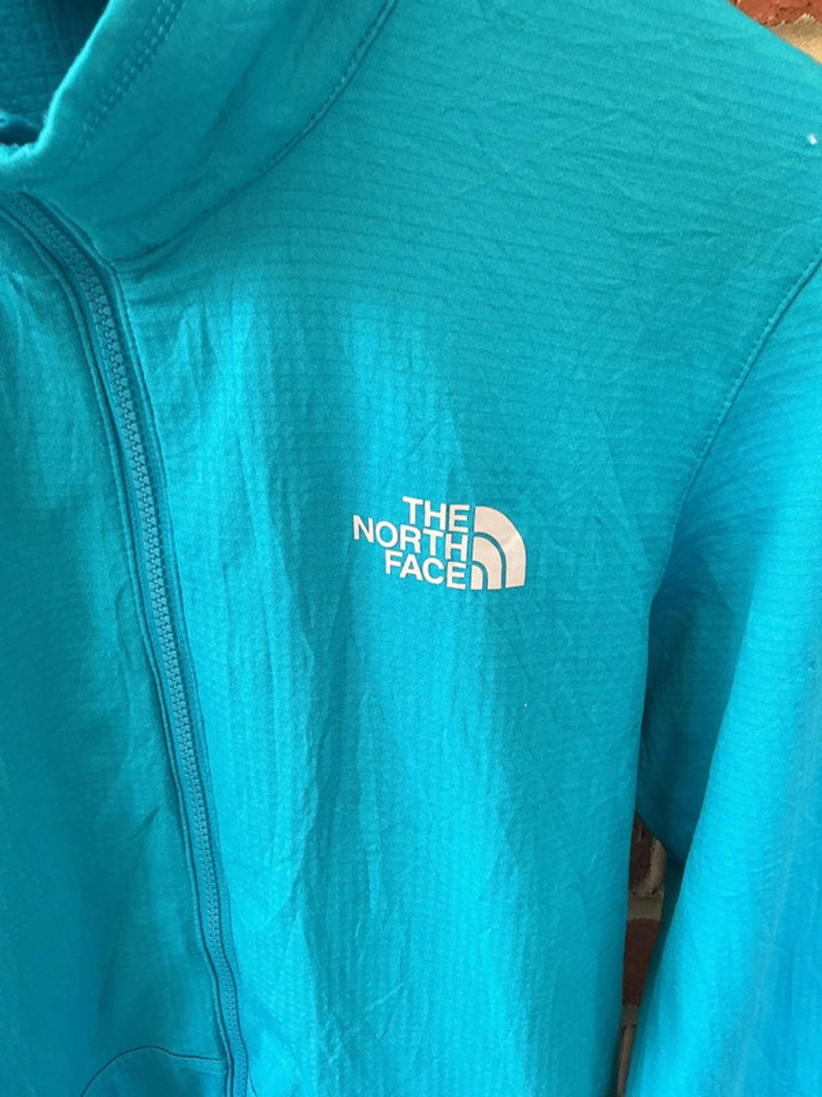 Tnf lightweight fleece small