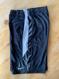 Nike shorts large
