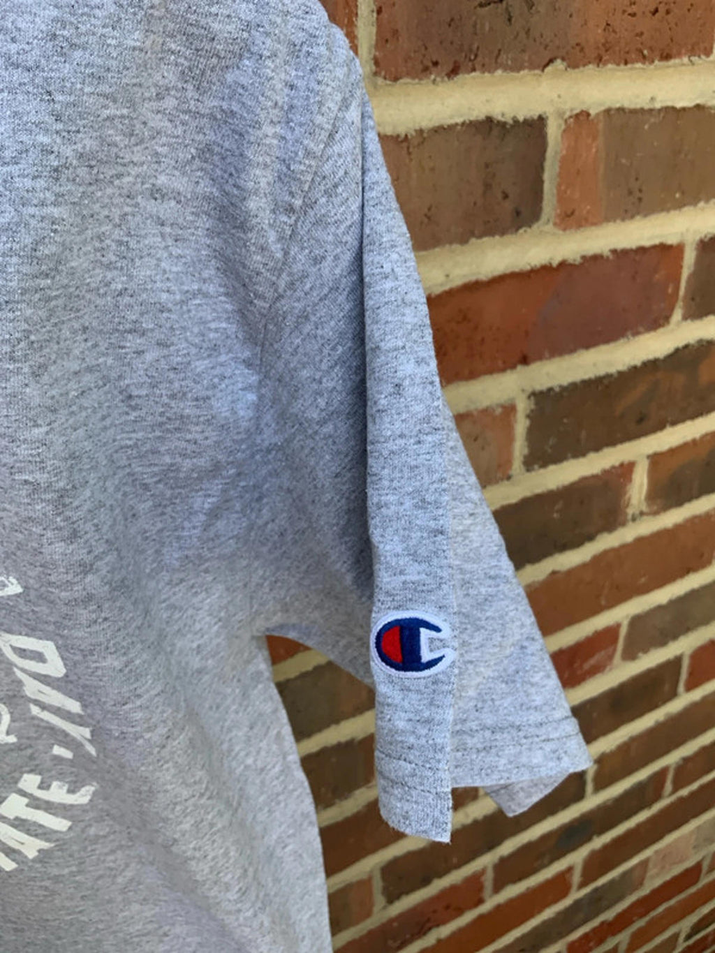 Champion freedom day Tshirt medium
