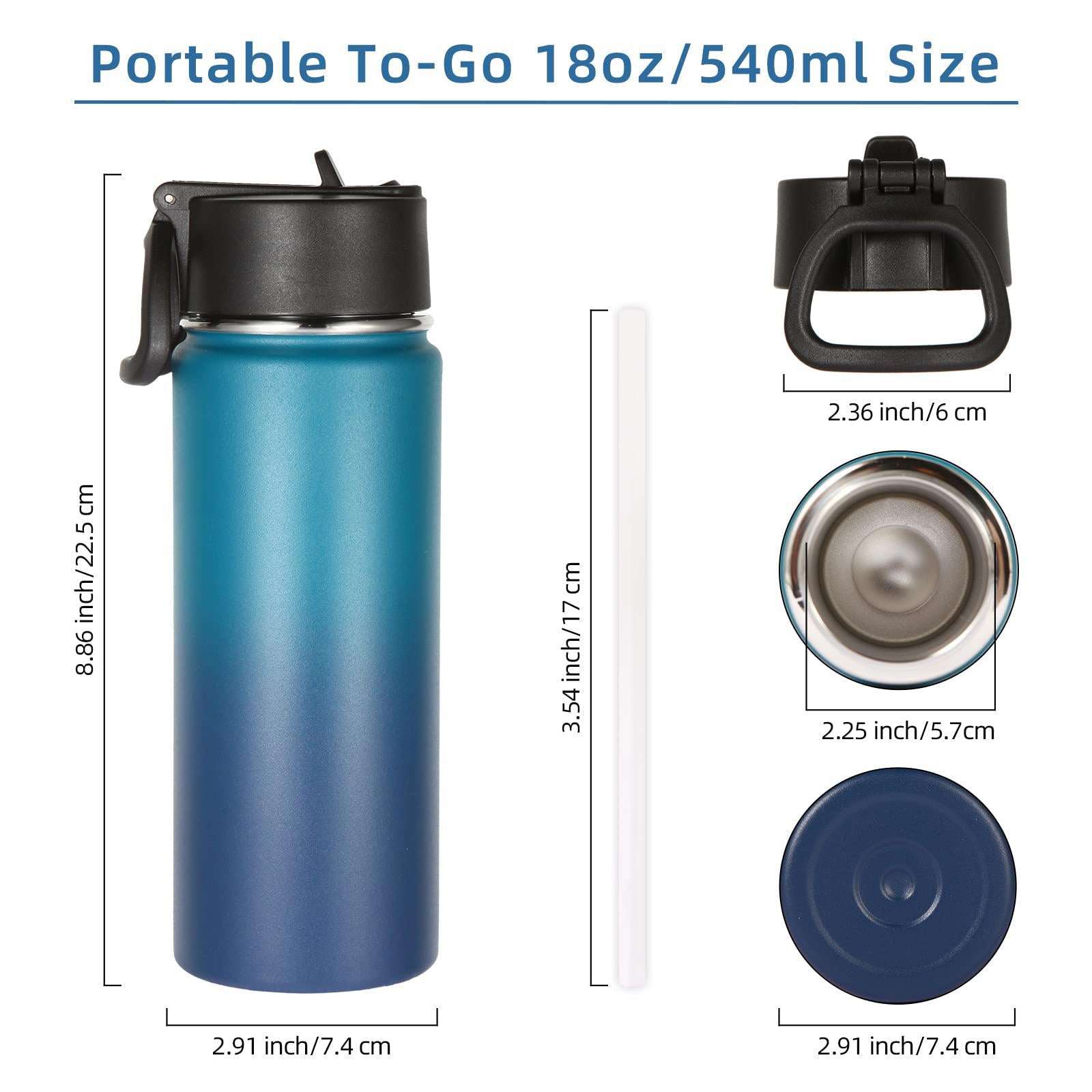 Two Volhoply 540ml Gradient Blue Stainless Steel Water Bottle with Straw