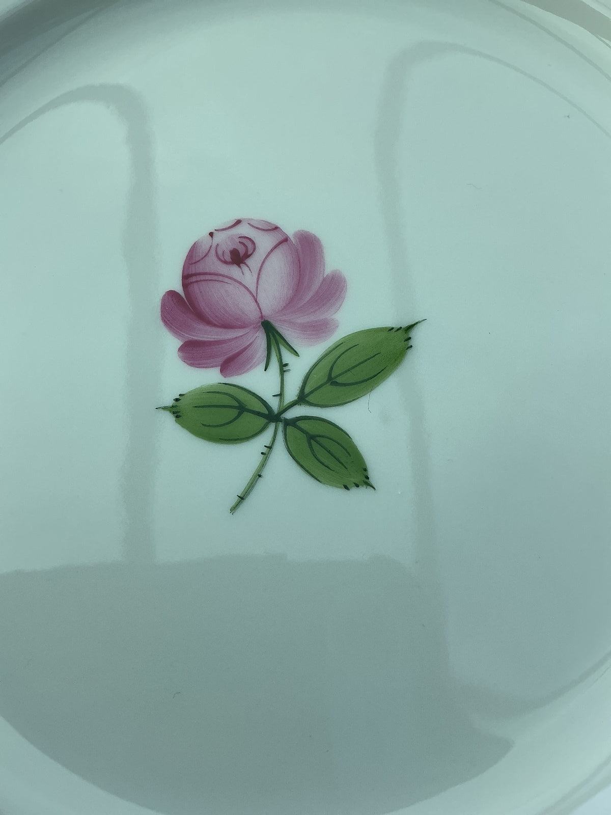 Augarten Wien Vienna Rose 20 cm White Floral Dessert Plate with Green Rim