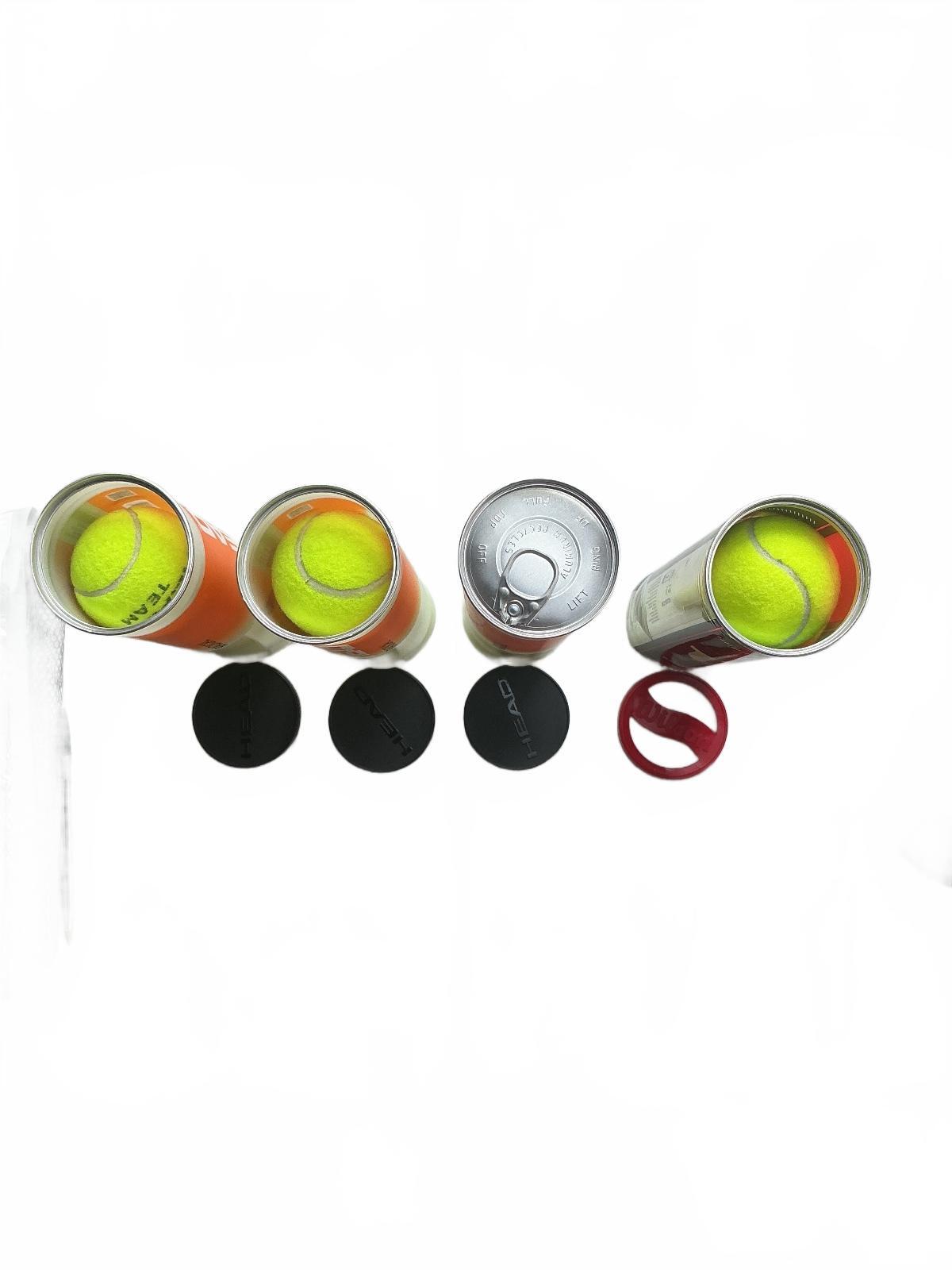 3*Head Radical Tennis Balls and Wilson Tour Slam Extra Duty 4 Pack