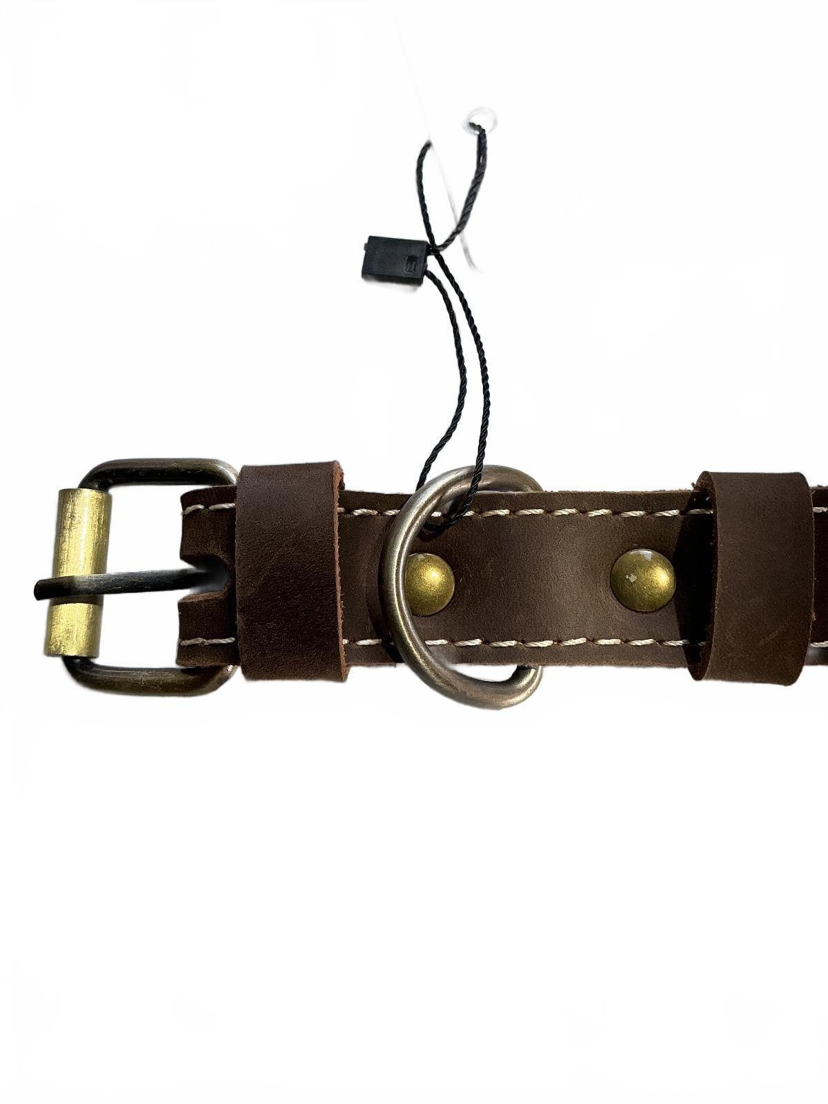 Dorset Hide Genuine Leather Brown Dog Collar Medium Size Comfortable Durable