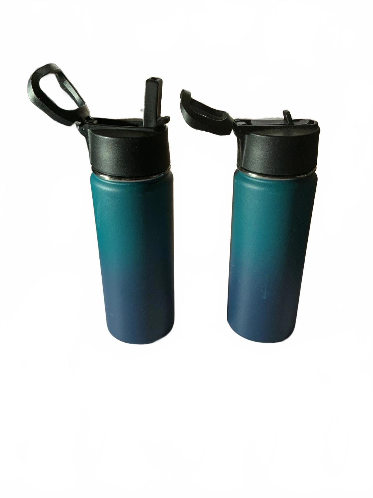 Two Volhoply 540ml Gradient Blue Stainless Steel Water Bottle with Straw