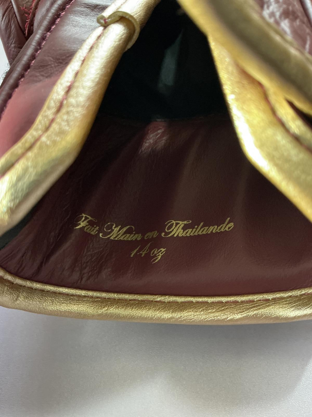Elion Paris Burgundy 14 Oz Boxing Gloves